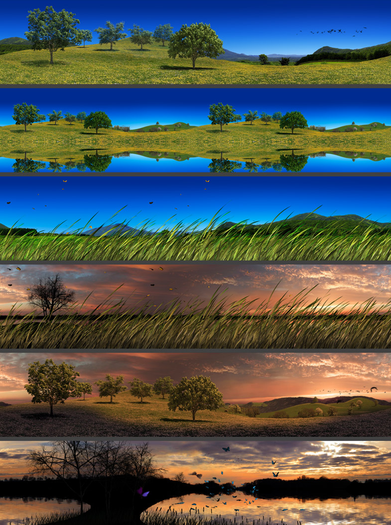 SoucheGeantePlanche2_g SoucheGeantePlanche2_g
